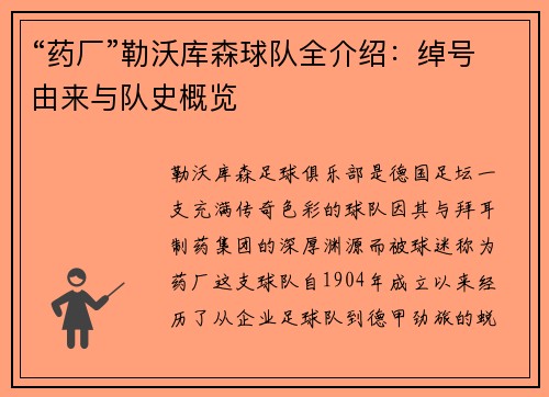 “药厂”勒沃库森球队全介绍:绰号由来与队史概览