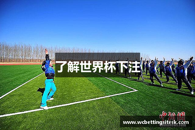 了解世界杯下注